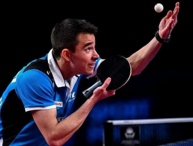 提高党员的 提高党员的