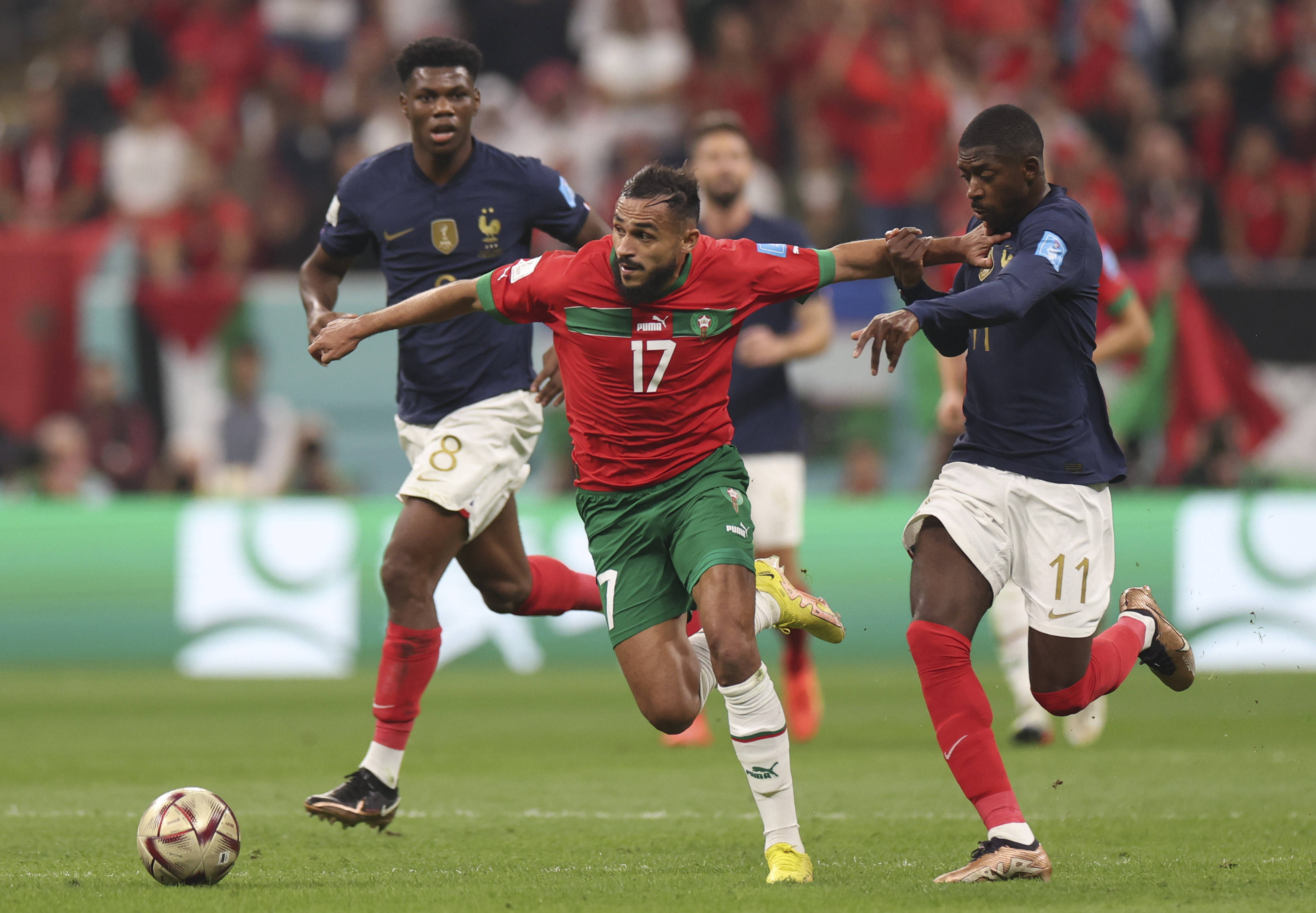 彰显了他如 彰显了他如