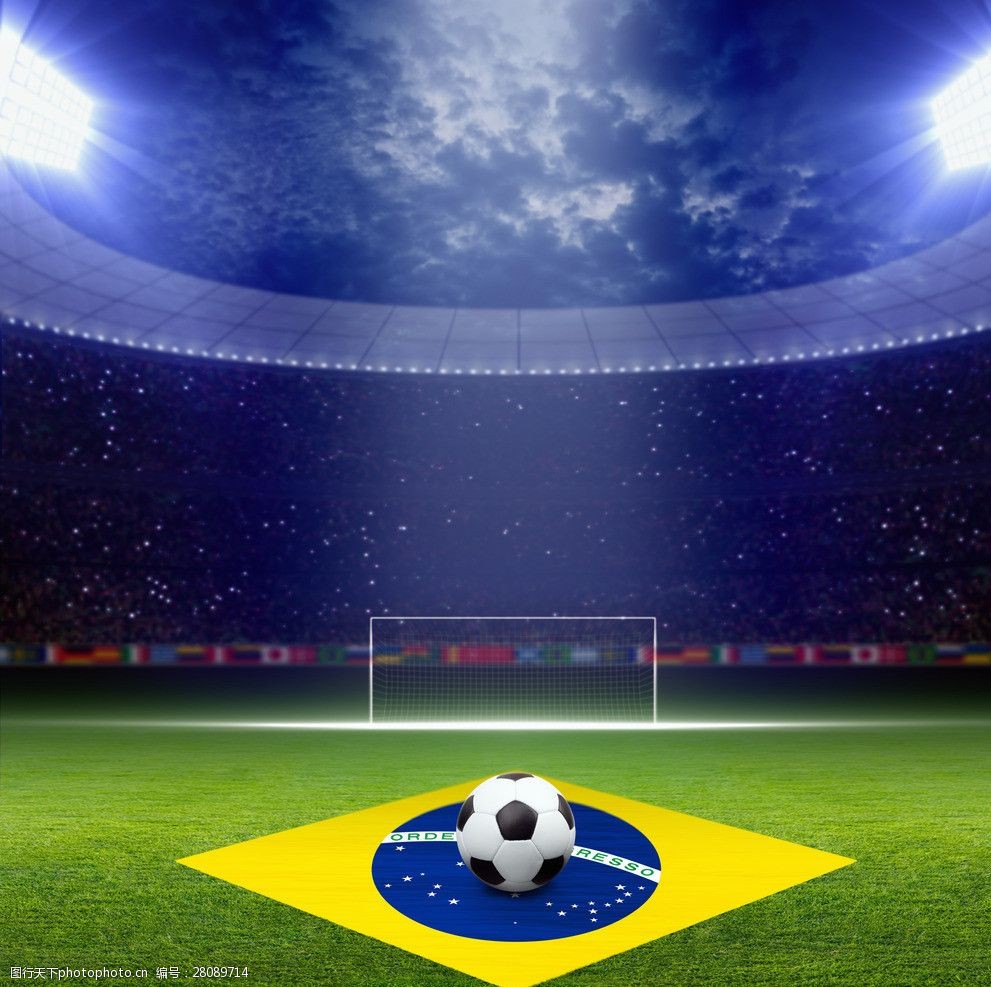 向了理性 向了理性